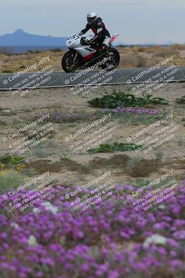 media/Jan-14-2023-SoCal Trackdays (Sat) [[497694156f]]/Turn 14 Exit Bloomig (145pm)/